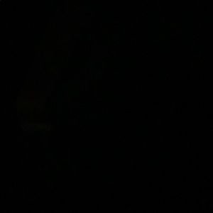 Meet your Posher, Ben